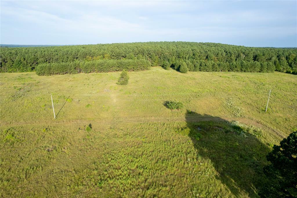 Property Photo:  Lake Country (Lot 17) Tx-77  TX 75551 