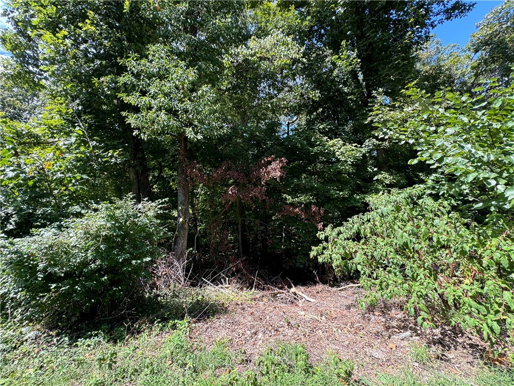 Property Photo:  Lot 19, Block 27 Finger Circle  AR 72715 