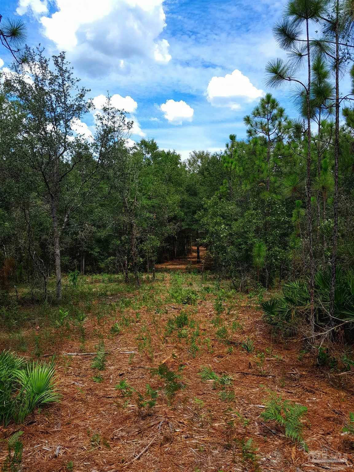 Property Photo:  Parcel A-2 Wildlife Rd  FL 32564 