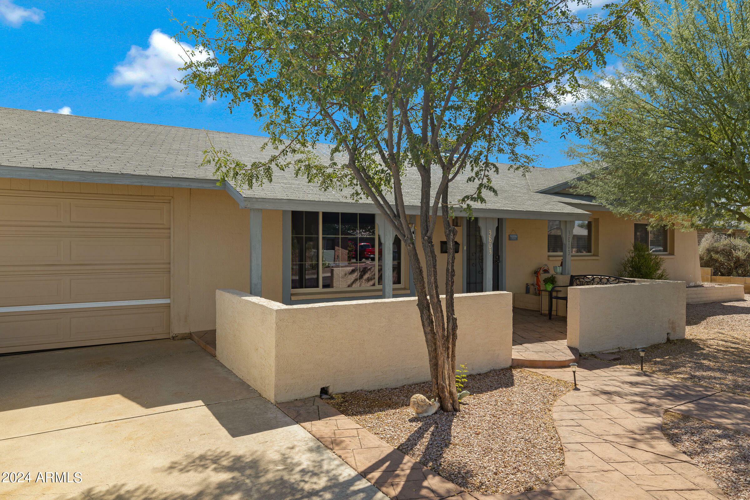 Property Photo:  3803 S Elm Street  AZ 85282 