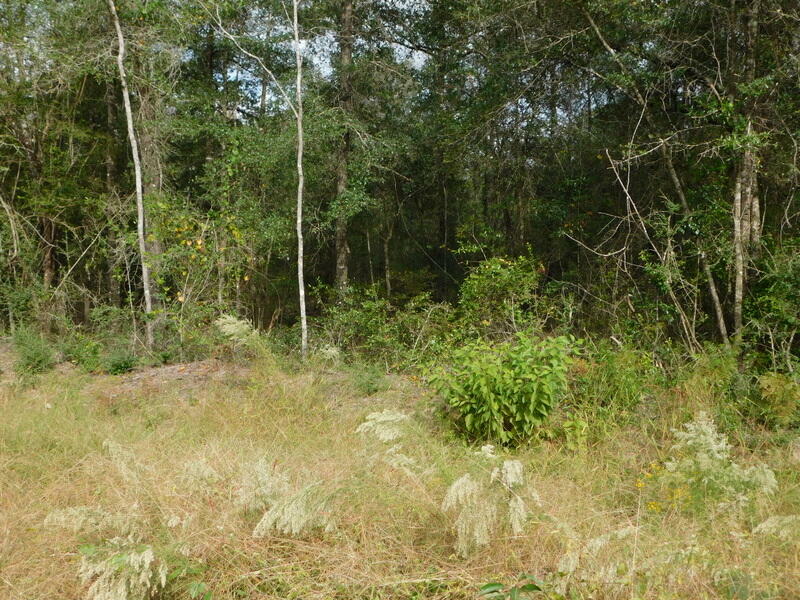 Property Photo:  Tbd Wiggins Road  FL 32564 