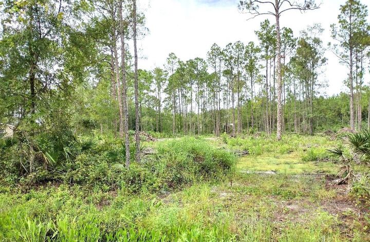 Property Photo: 5814 Mahogany Boulevard FL 32110