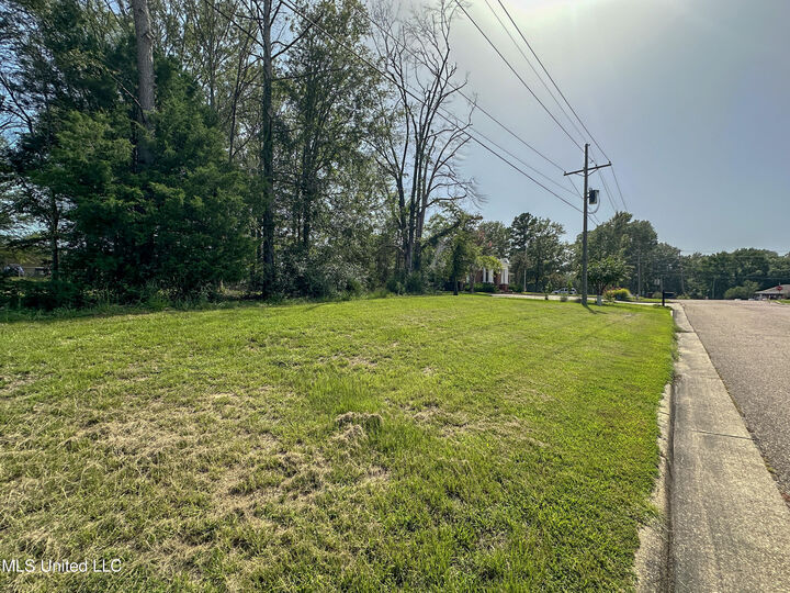Property Photo: 109 Woodchase Park Drive MS 39056