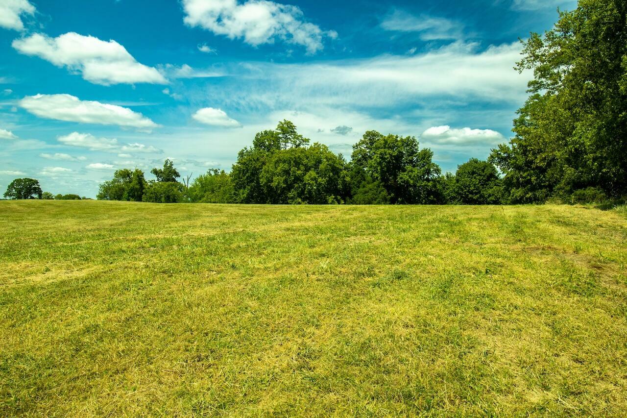 Property Photo:  Tract 5 US 127 N Tract 5  KY 41046 