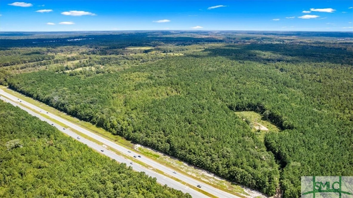 Property Photo:  262.44 Ac Leroy Coffer Highway  GA 31309 