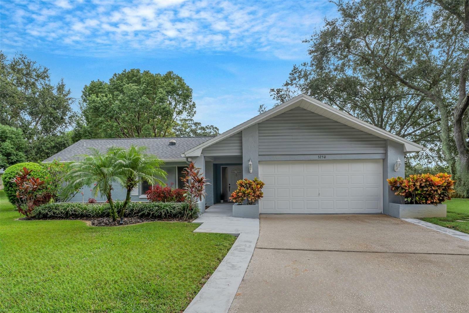 3250 Ayr Drive  Palm Harbor FL 34684 photo