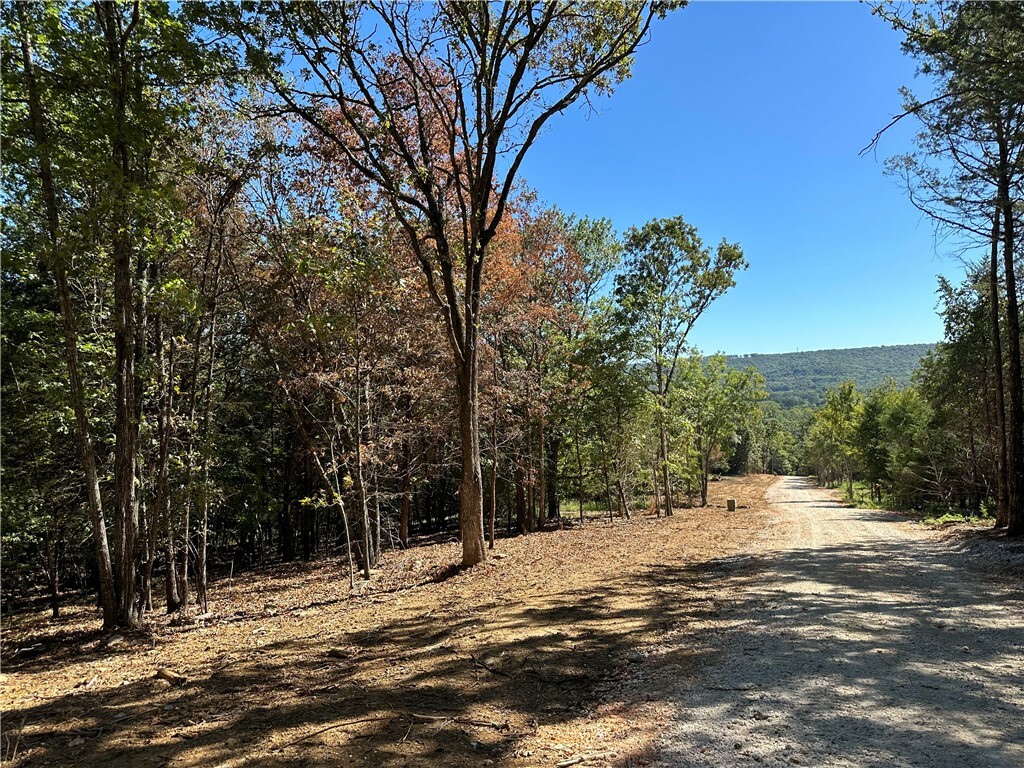 Property Photo:  11511 Orr Rd. Wc 67 Road  AR 72753 