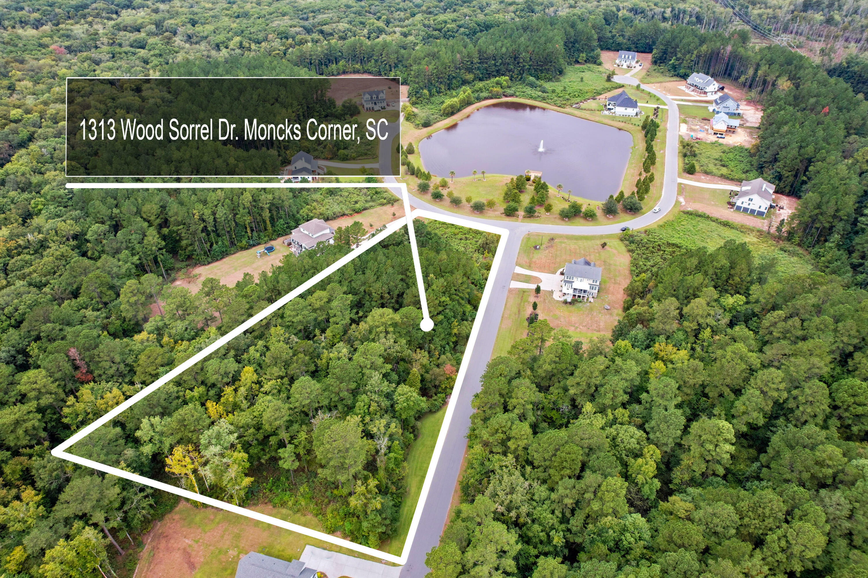 1313 Wood Sorrel Drive  Moncks Corner SC 29461 photo