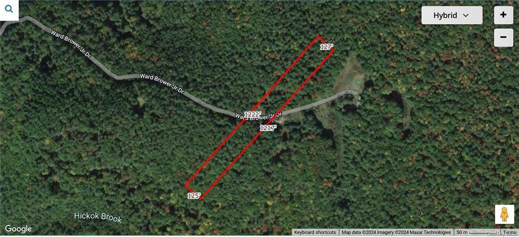 Property Photo:  Lot 15-6 Ward Brower Jr Drive  NY 12719 