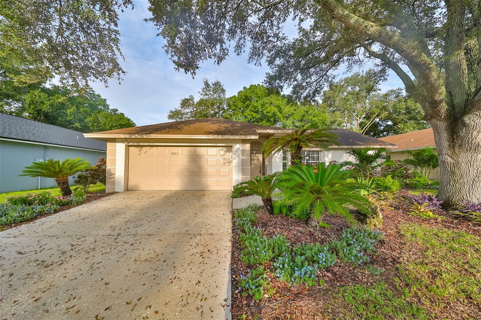 Property Photo:  28211 Tanglewood Drive  FL 33543 