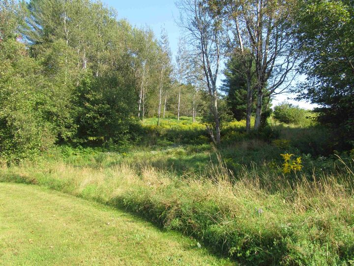 Property Photo:  0 River Road  VT 05868 