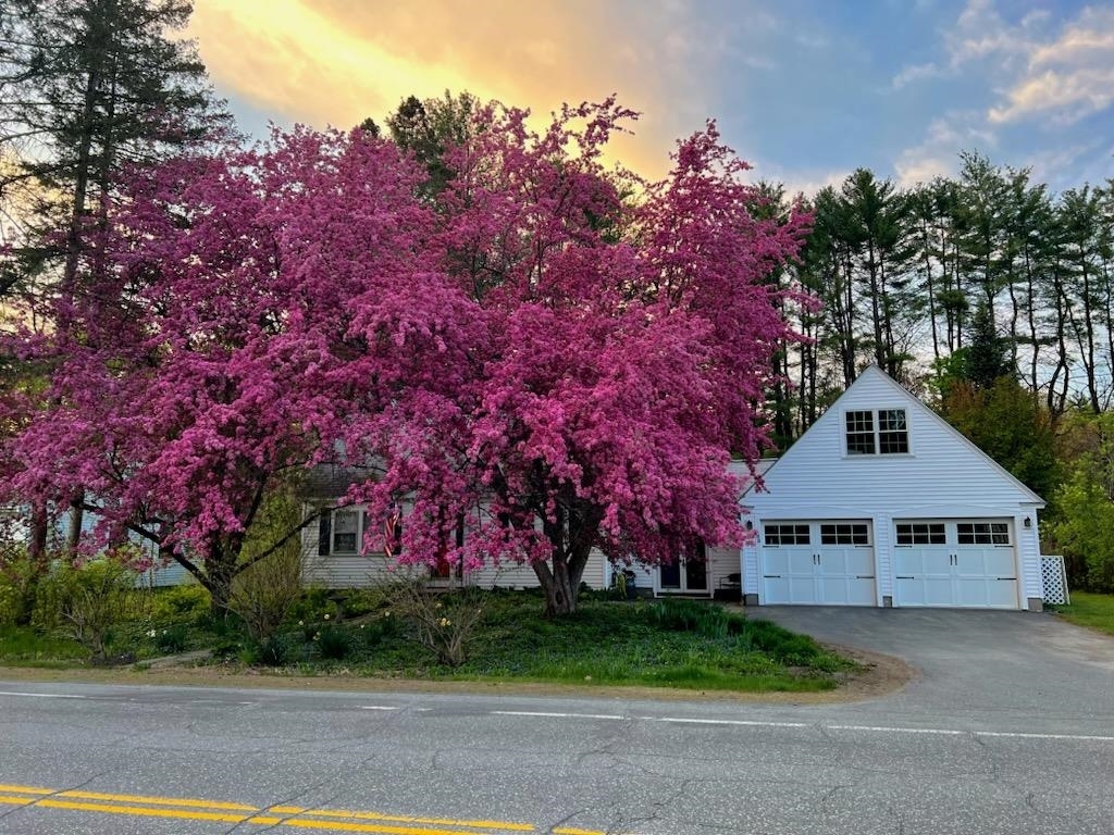 Property Photo:  88 Greensboro Road  NH 03755 