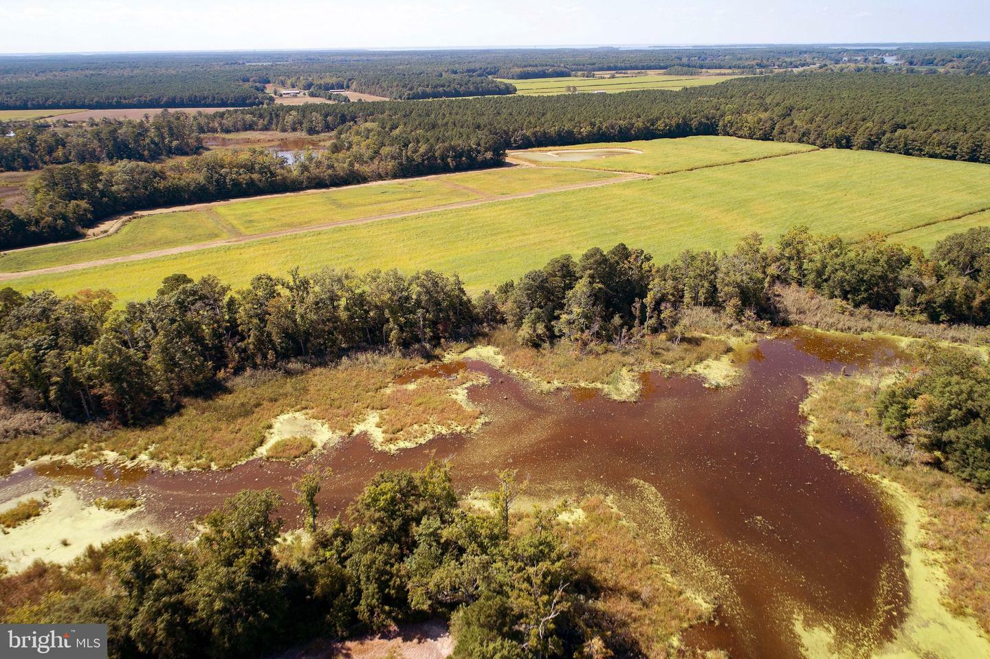 Property Photo:  Buttons Neck Rd  MD 21622 