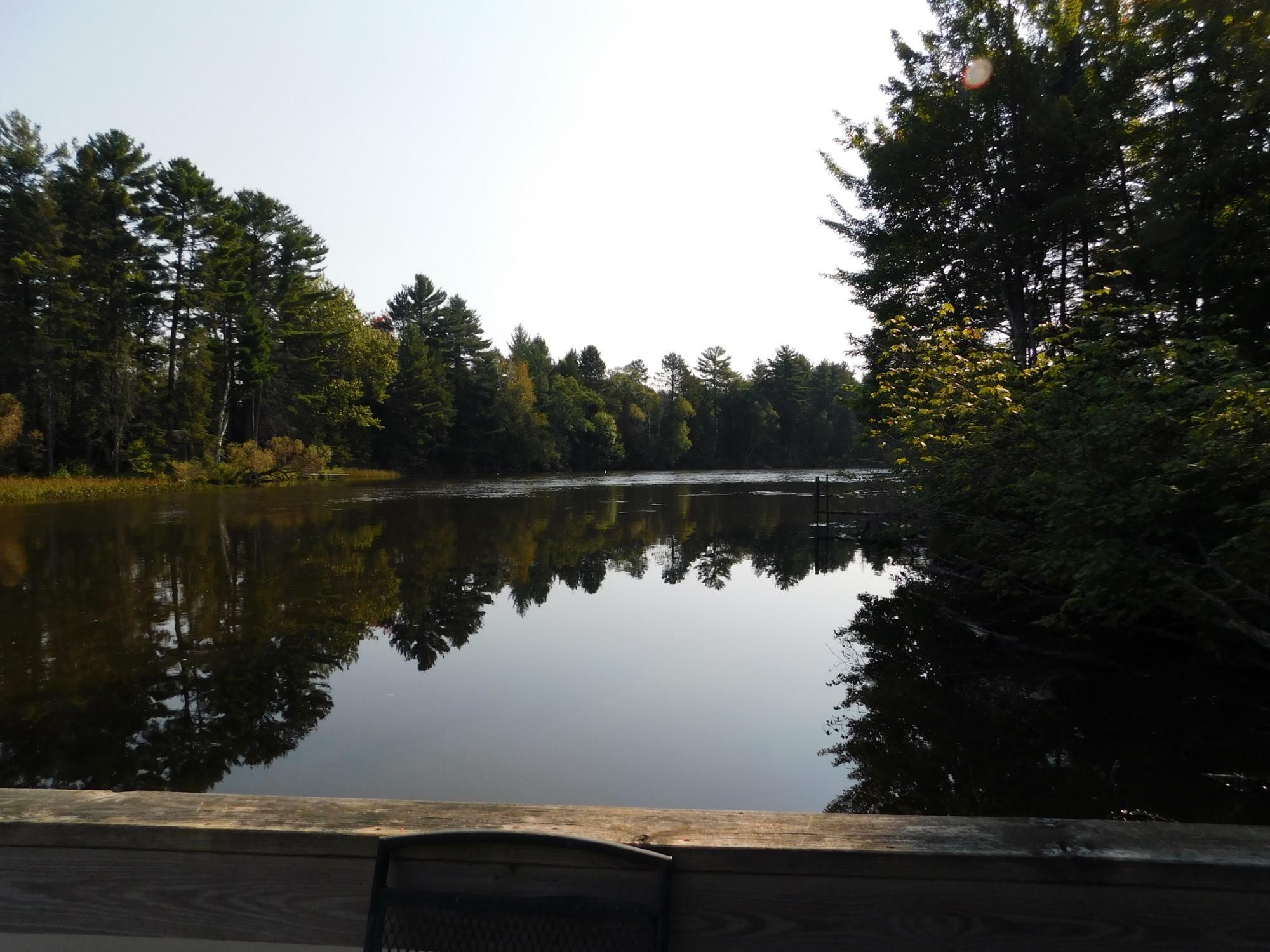 Property Photo:  N11462 Tomahawk River Rd  WI 54487 