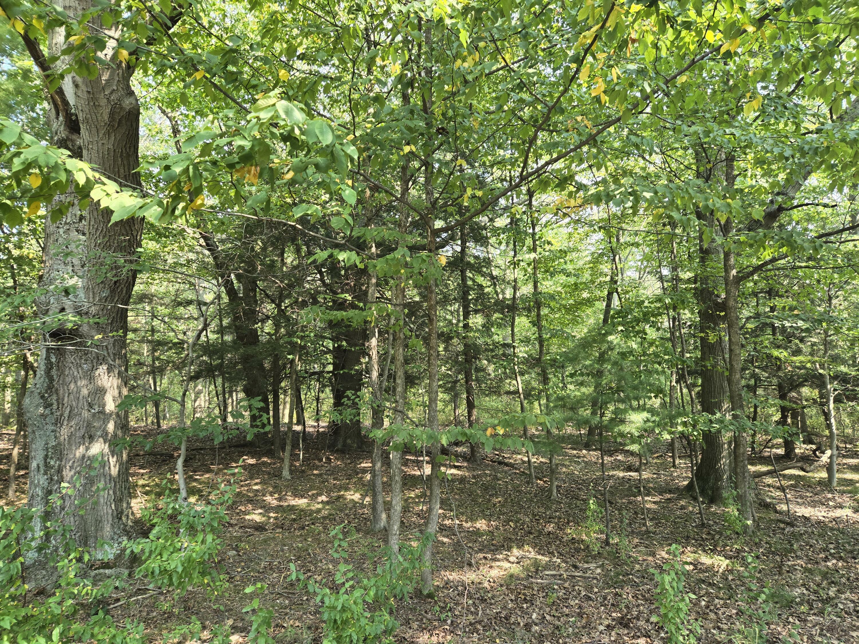 Property Photo:  1.33 Acres W Harrison Road  MI 49436 