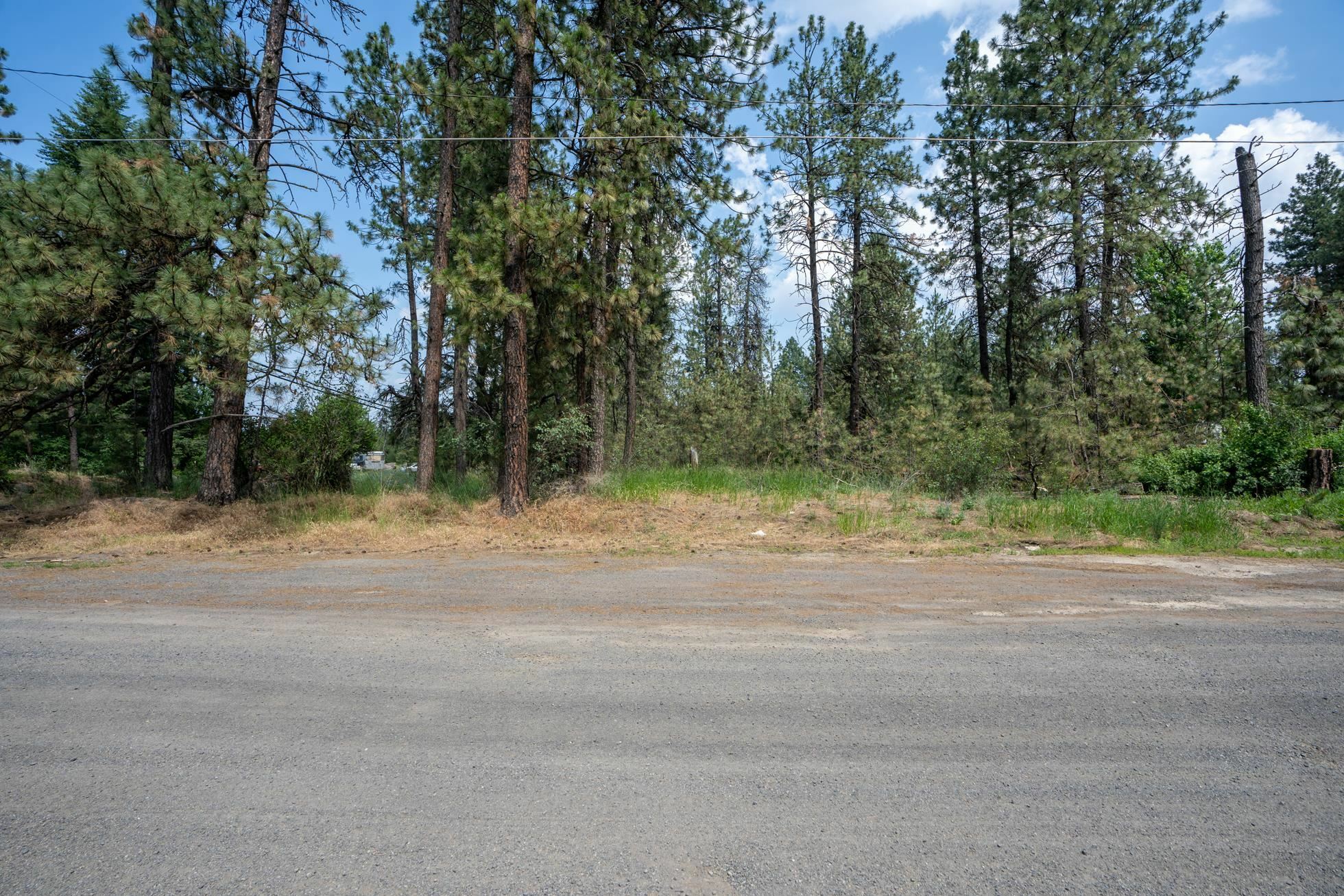 Property Photo:  Tbd S Assembly Rd  WA 99224 