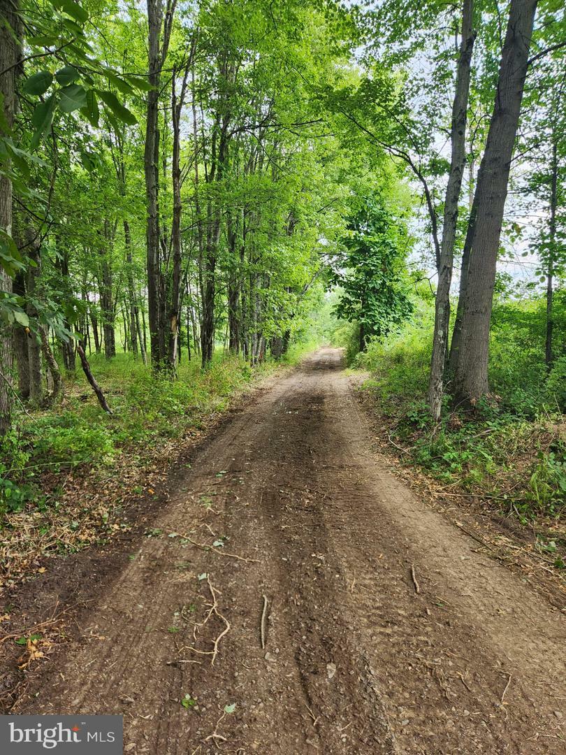 Property Photo:  Old Durham Rd  PA 18947 