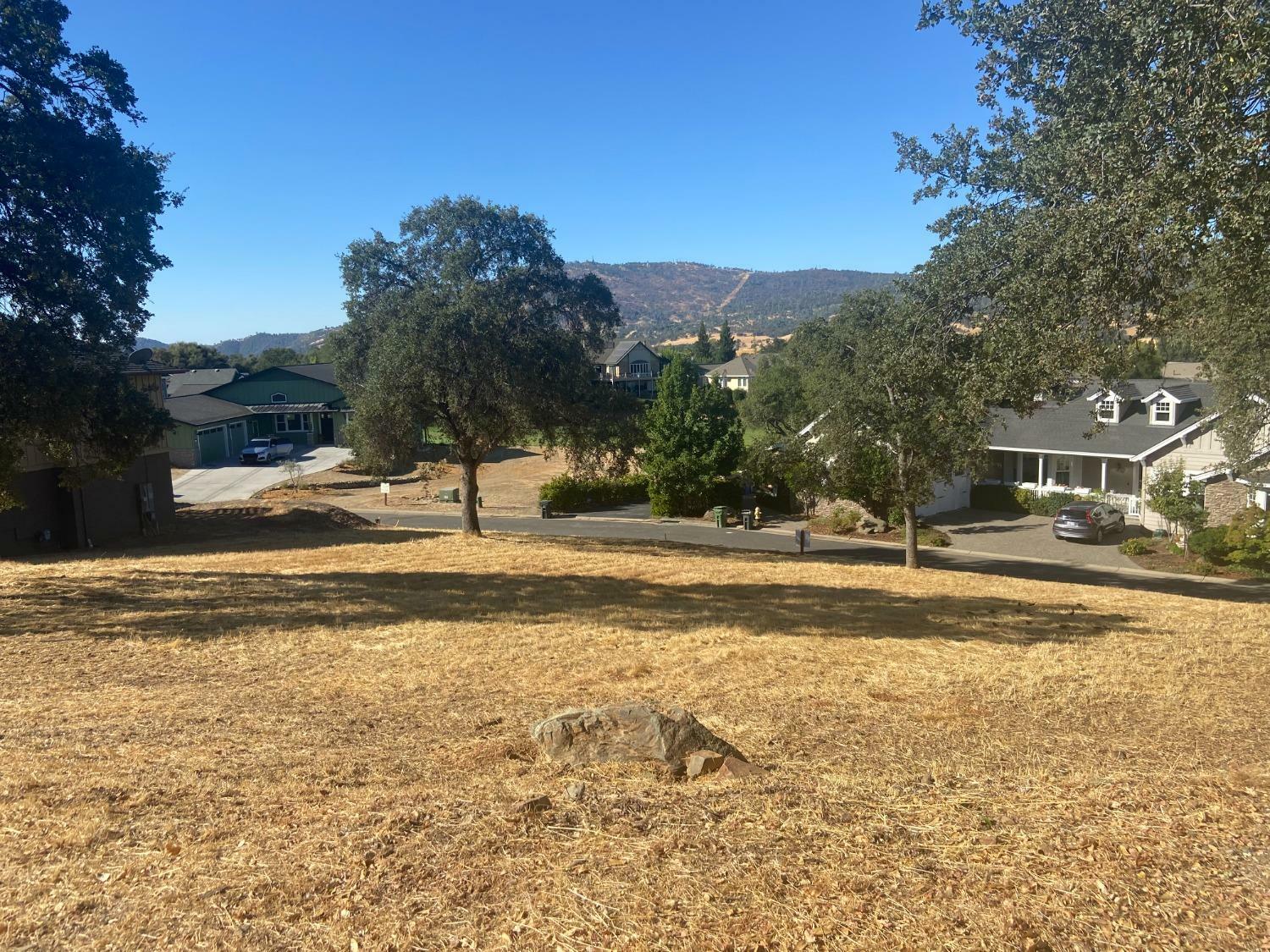 507 Rosebush Court  Angels Camp CA 95222 photo