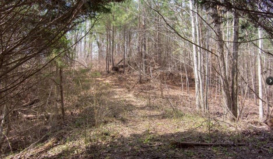 Property Photo:  99 Old Post Trail  GA 30175 