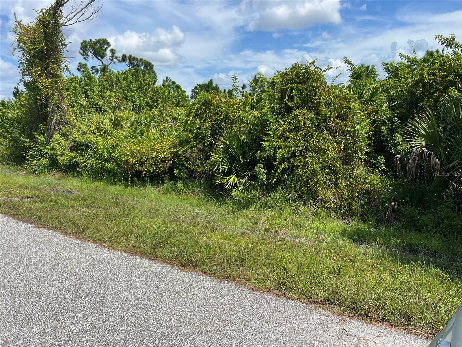 Property Photo:  6148 Carlson Street  FL 33981 