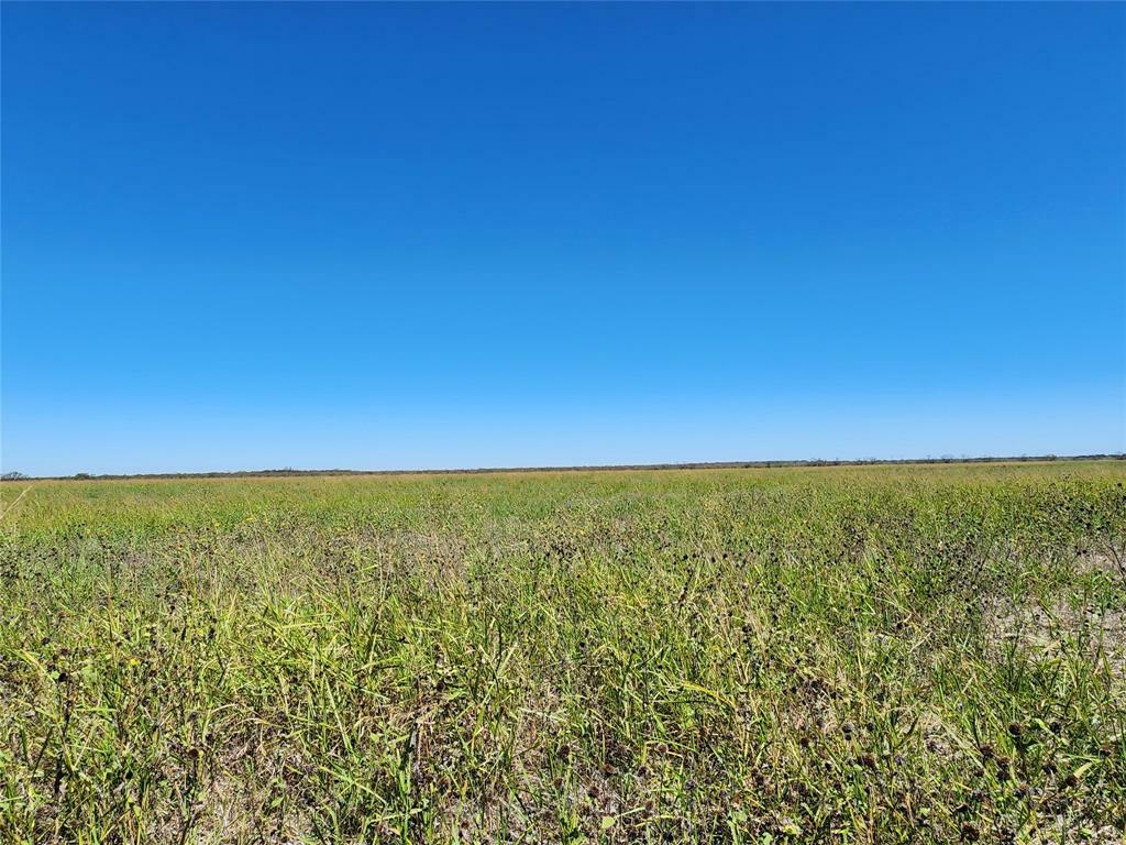 Property Photo:  Tbd Fm-1176  TX 76823 