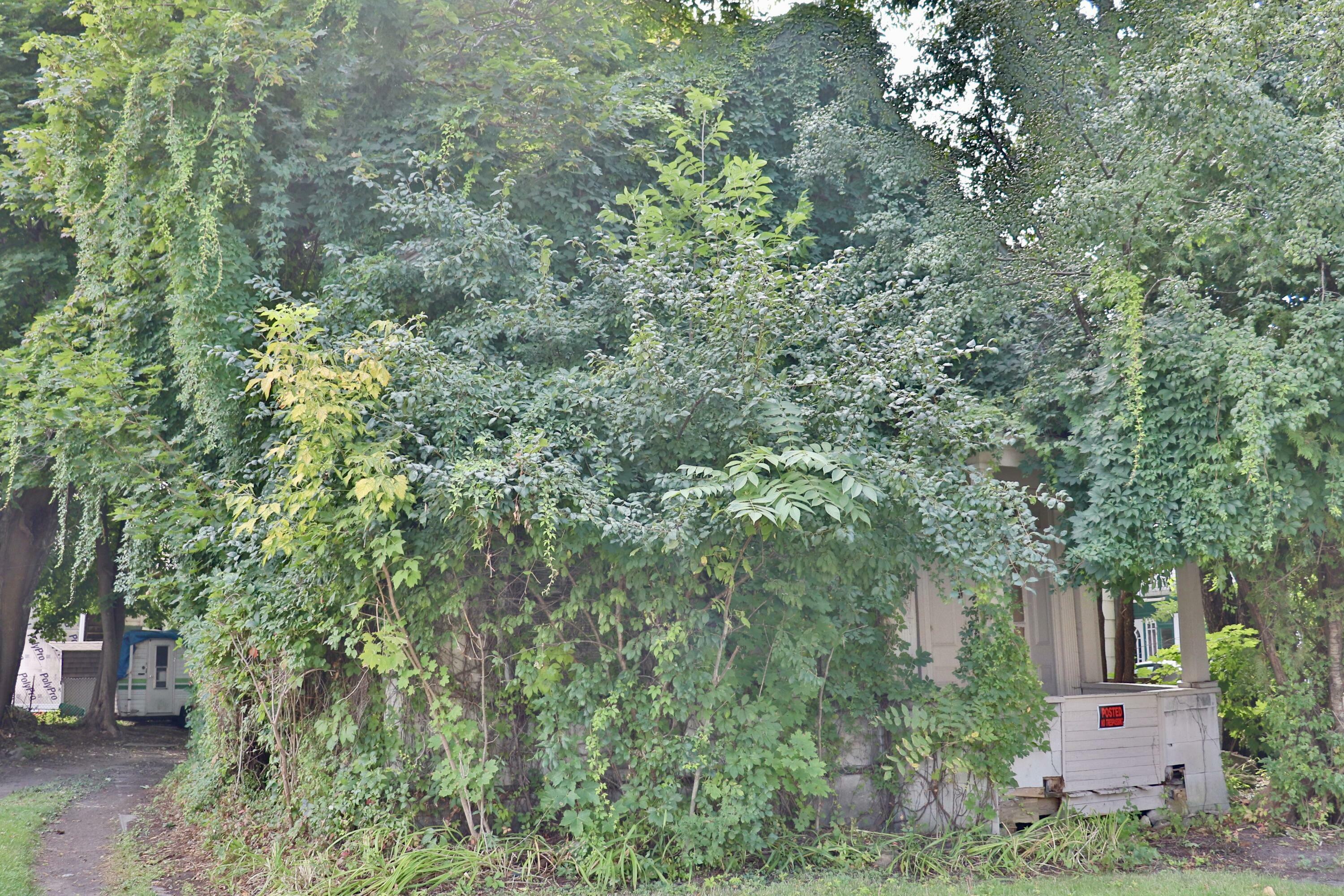 Property Photo: 109 Cornelia Street NY 12901