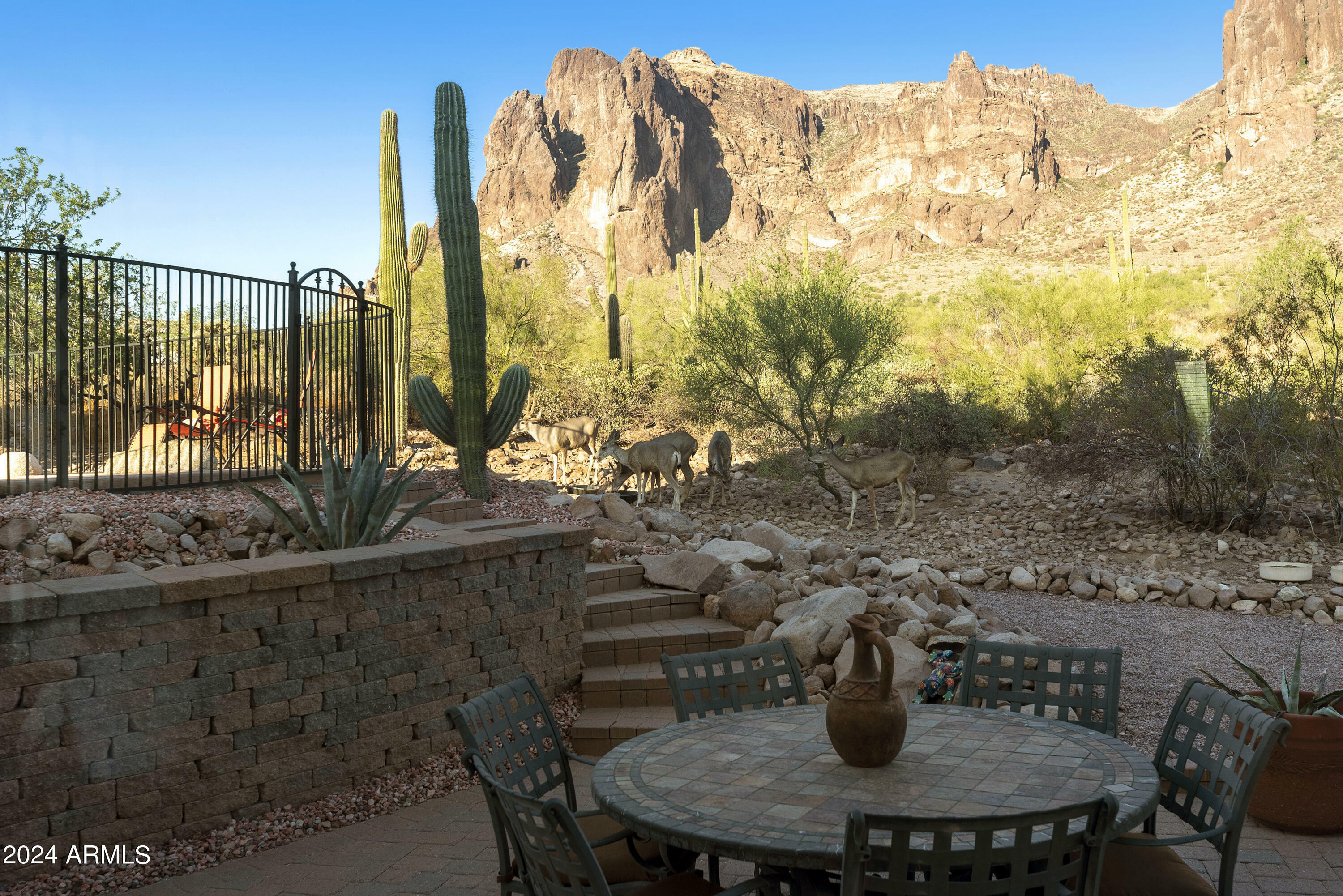 Property Photo:  6275 E Jacob Waltz Street  AZ 85119 