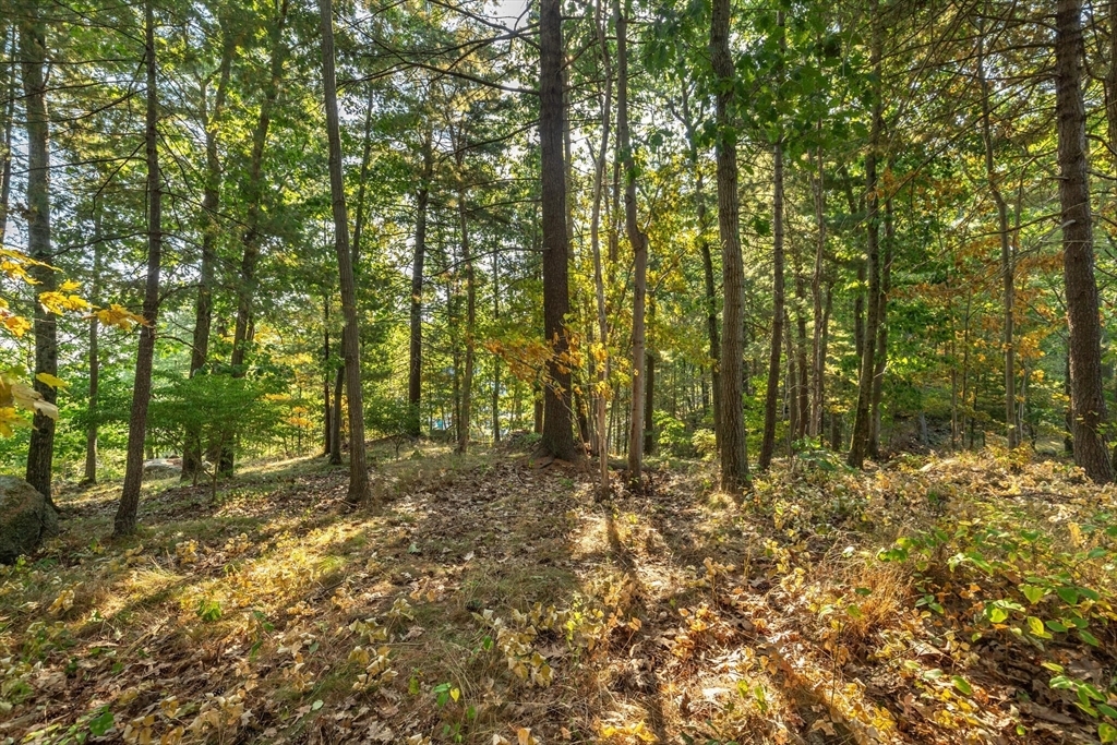 Property Photo: 0 Currier MA 01944