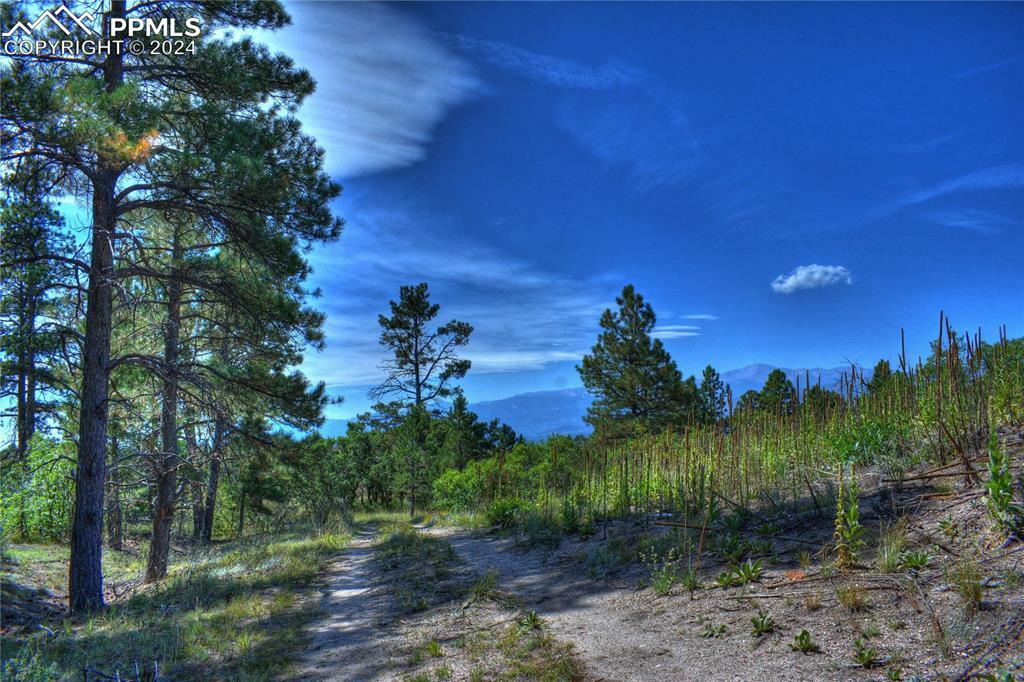 Property Photo:  12760 Bridle Bit Road  CO 80908 