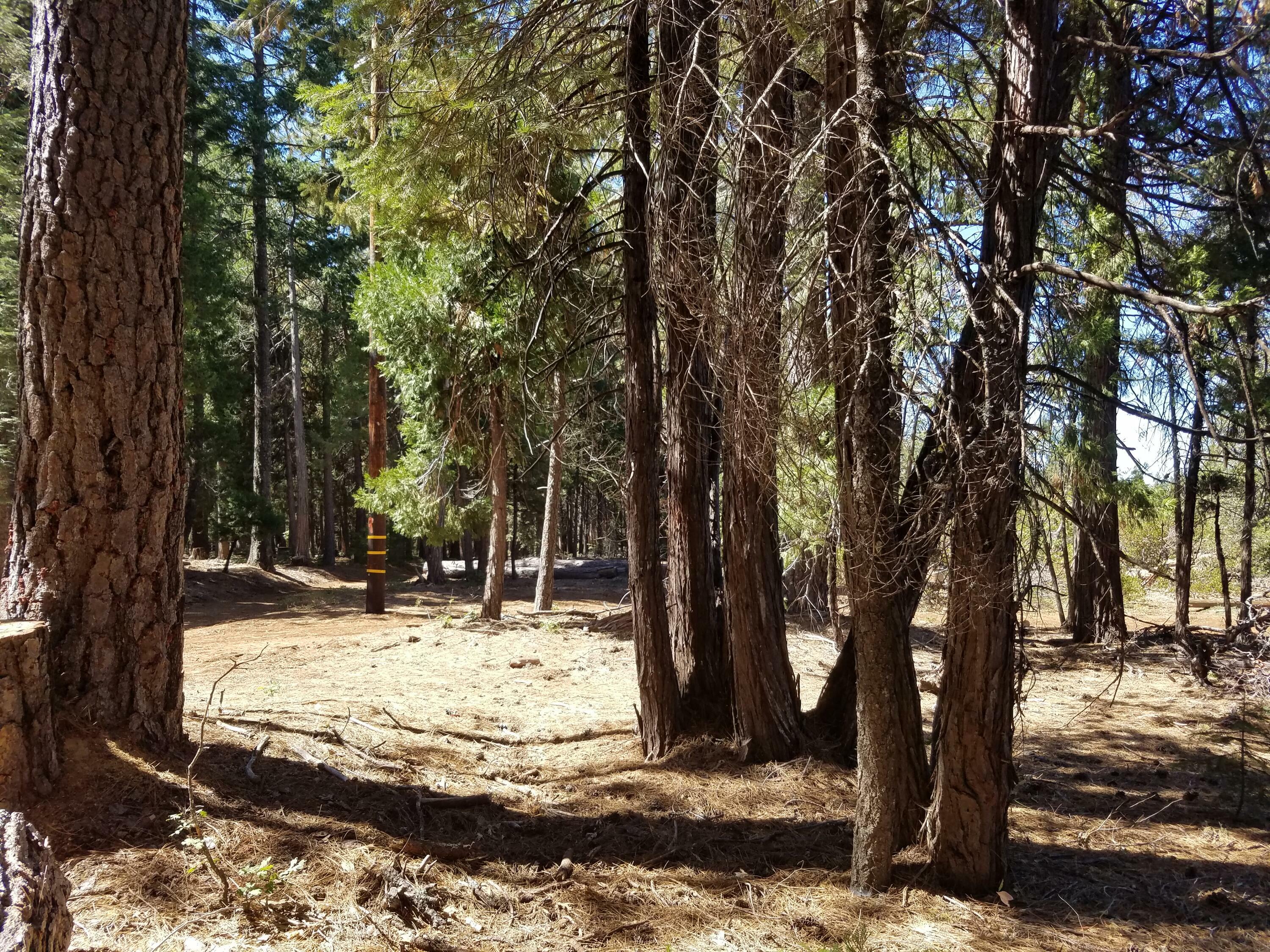 Property Photo:  Lot 1 Eckert Lane  CA 96088 