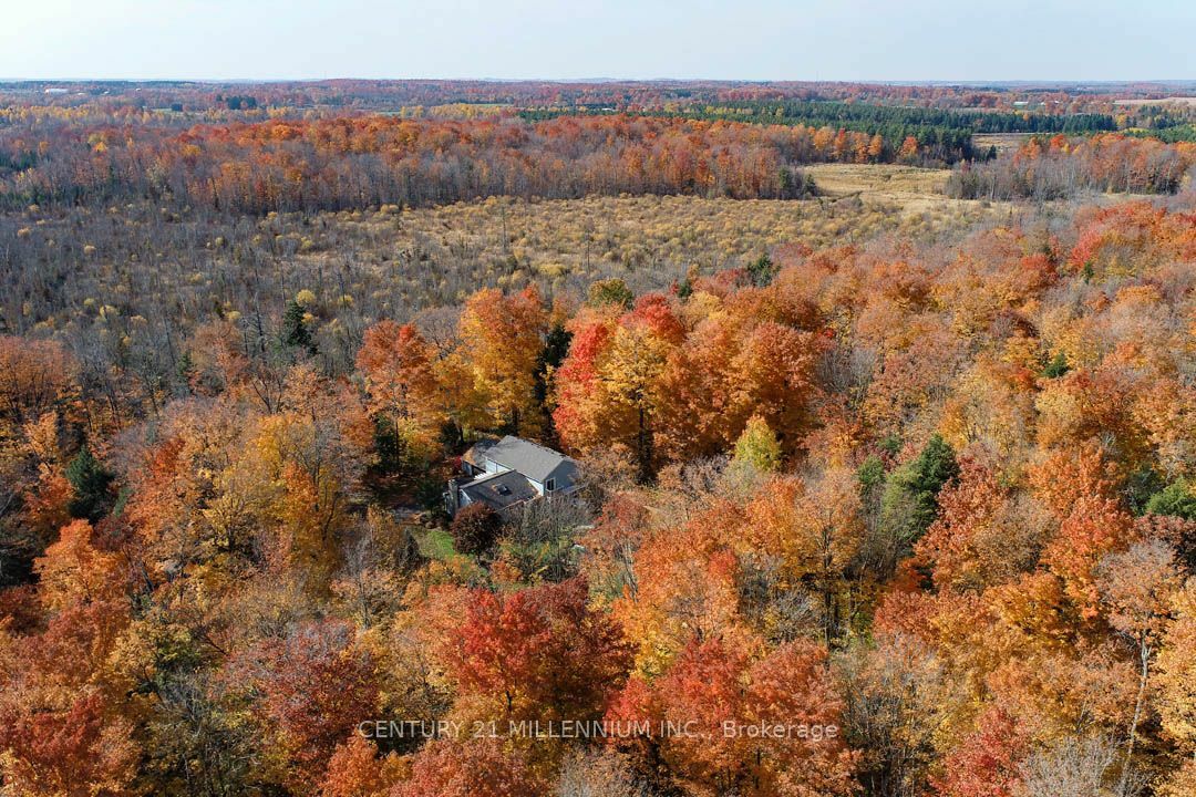 Photo de la propriété:  19007 Mountainview Rd  ON L7K 2G6 