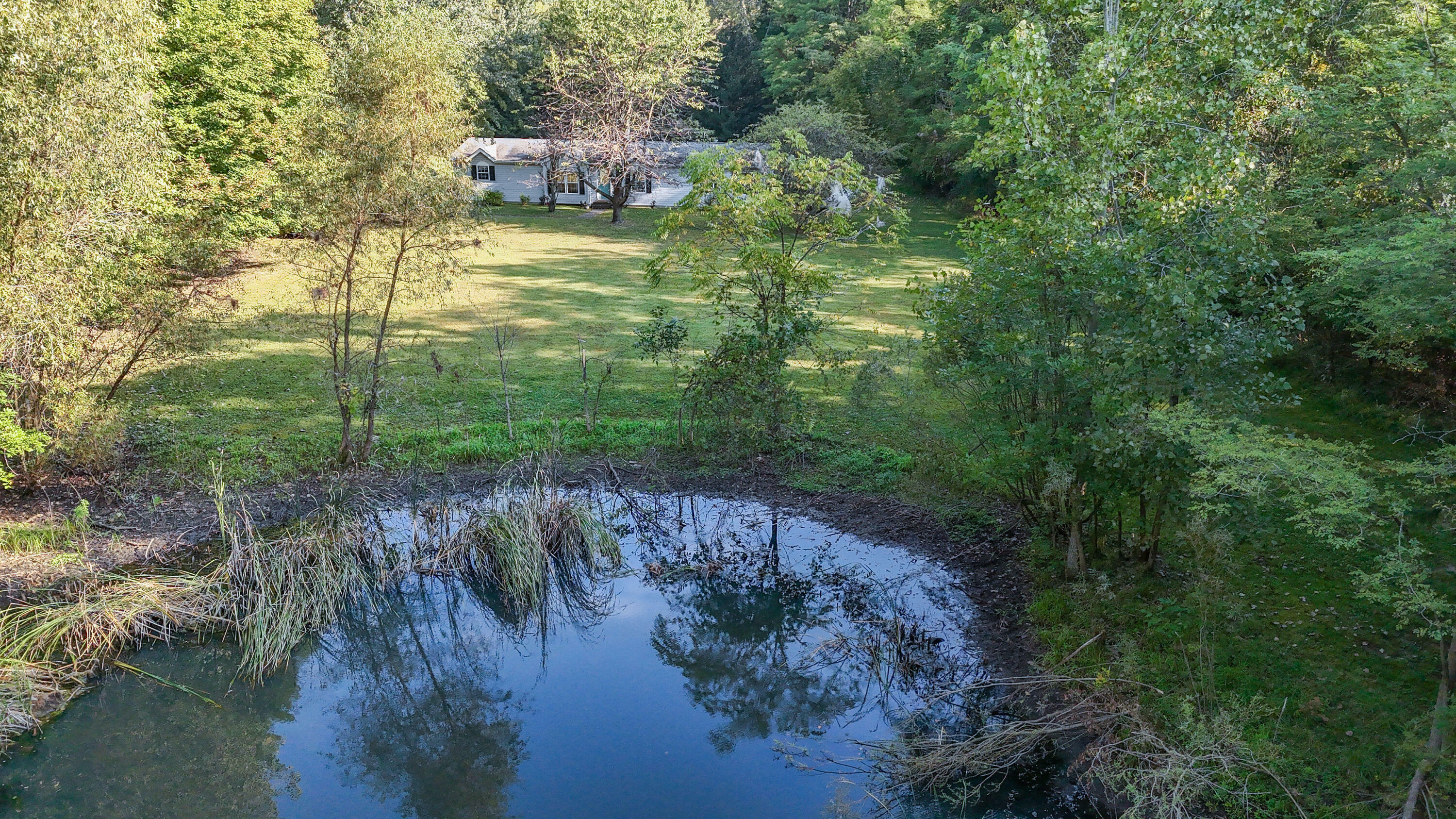 Property Photo:  9225 Maudlin Road  MI 49117 