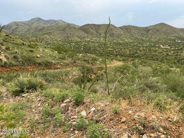 Property Photo:  S Goodenough Trail Lot 1  AZ 85641 