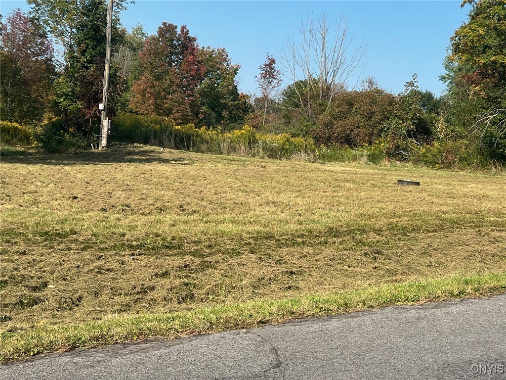 Property Photo: 1177 Gallagher Road NY 13045