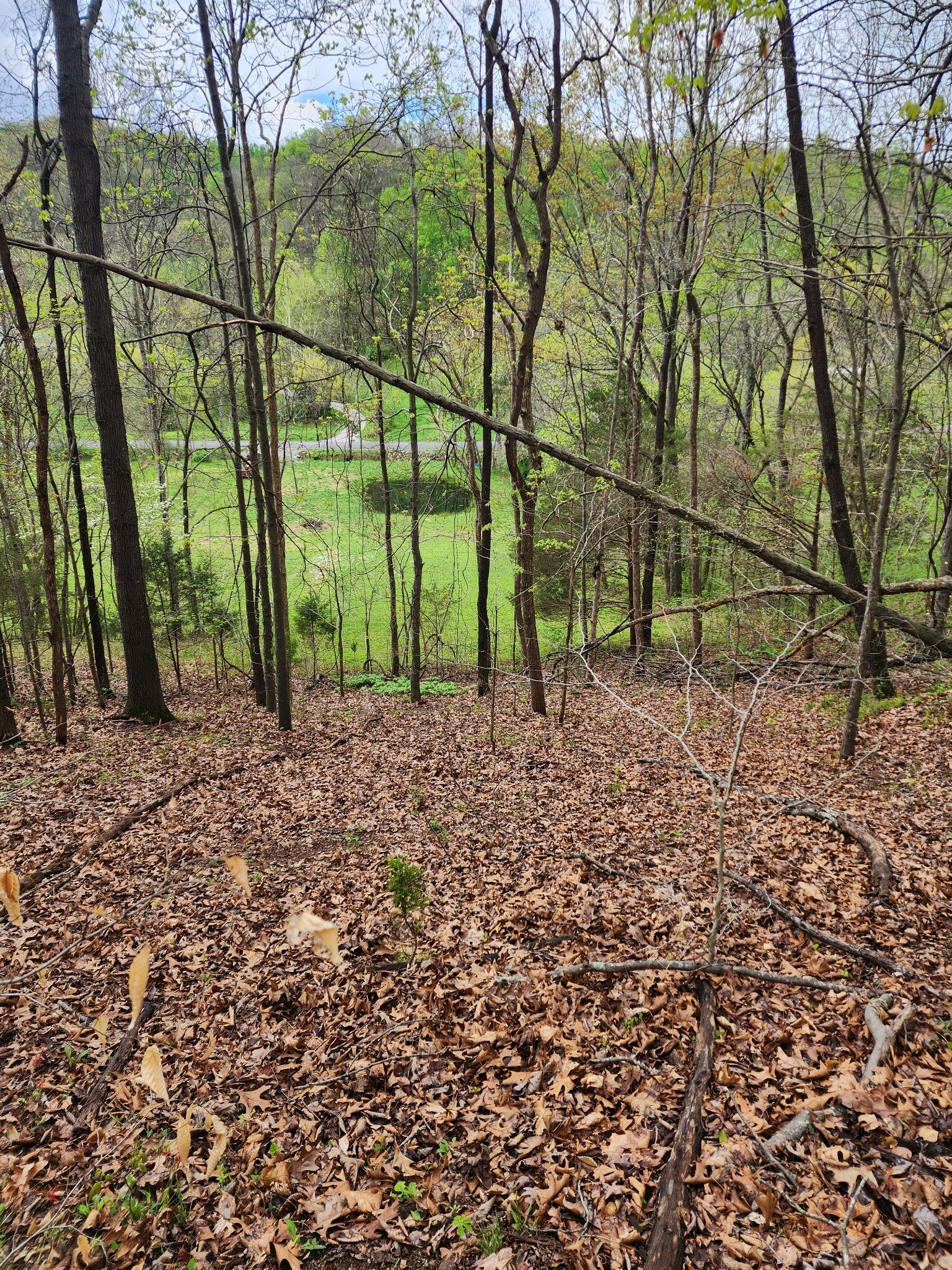 Property Photo:  0 Stiversville Road  TN 38451 