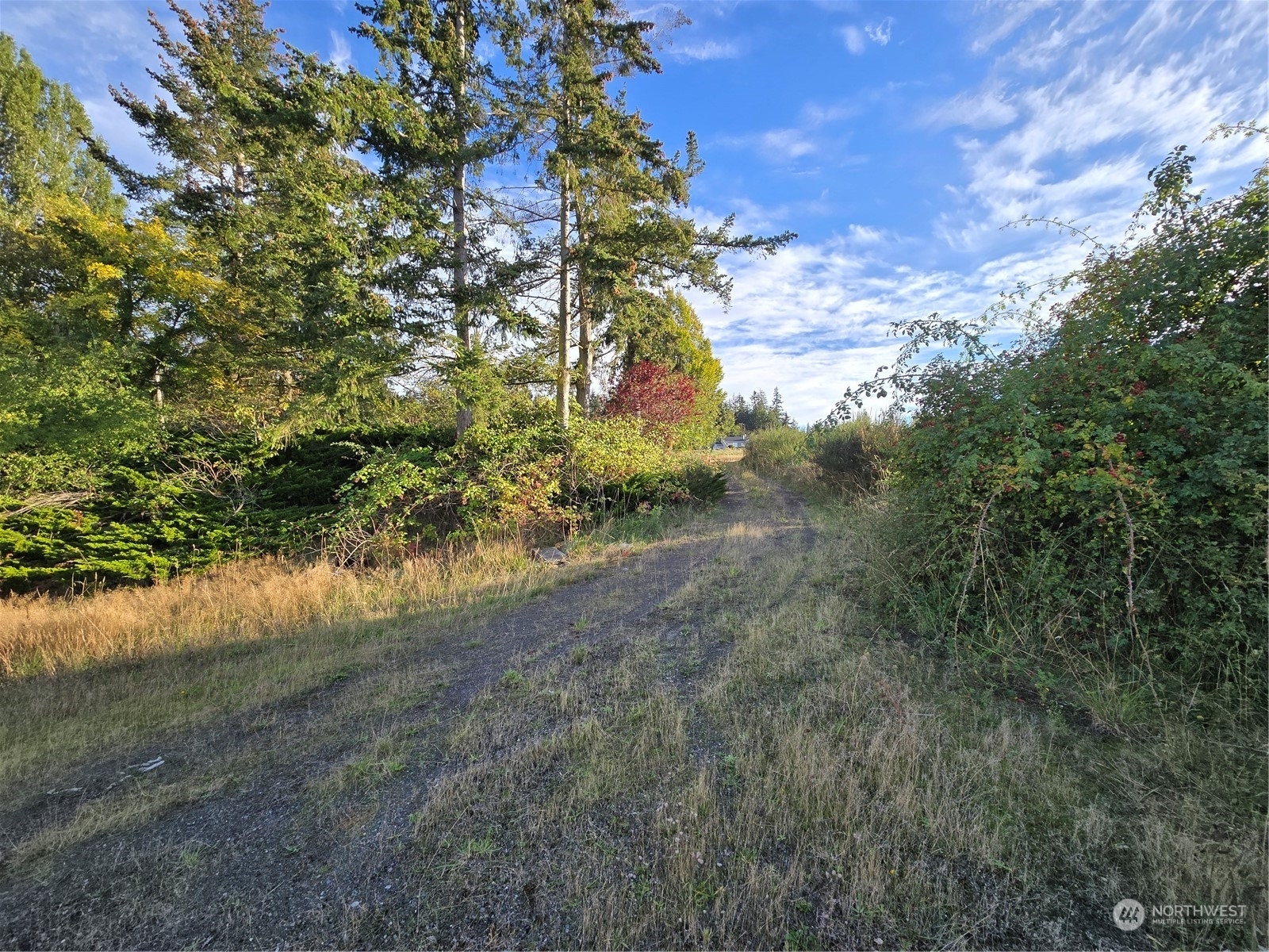 Property Photo:  463  Miller Road  WA 98382 