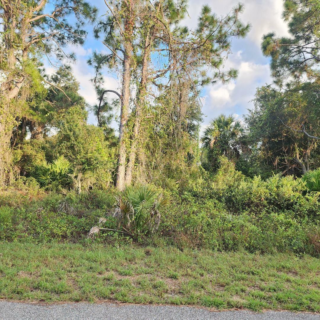 Property Photo:  Lot# 4 Mattox Circle  FL 34288 