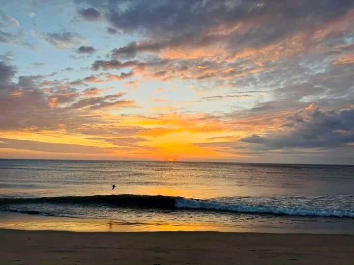 Property Photo: 9013 L E Hunter Street NC 27959