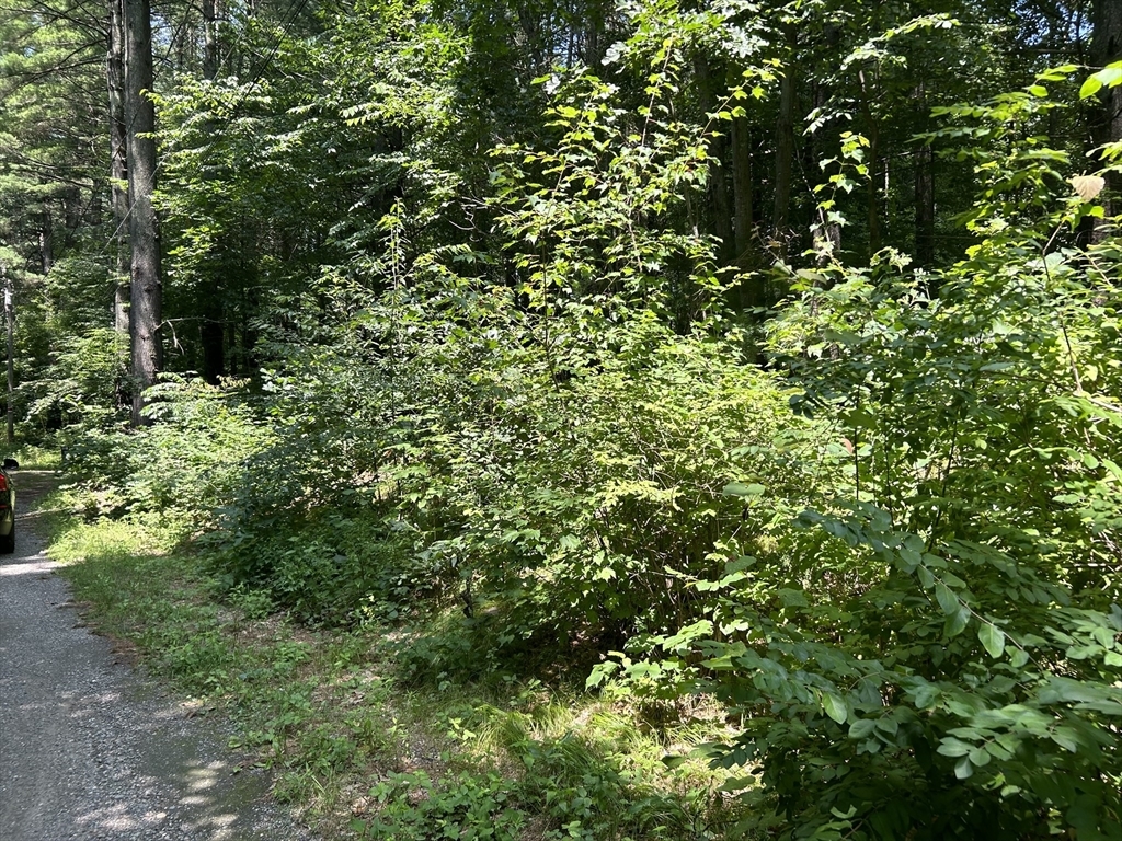 Property Photo:  39 W Carr - Lot  MA 01588 