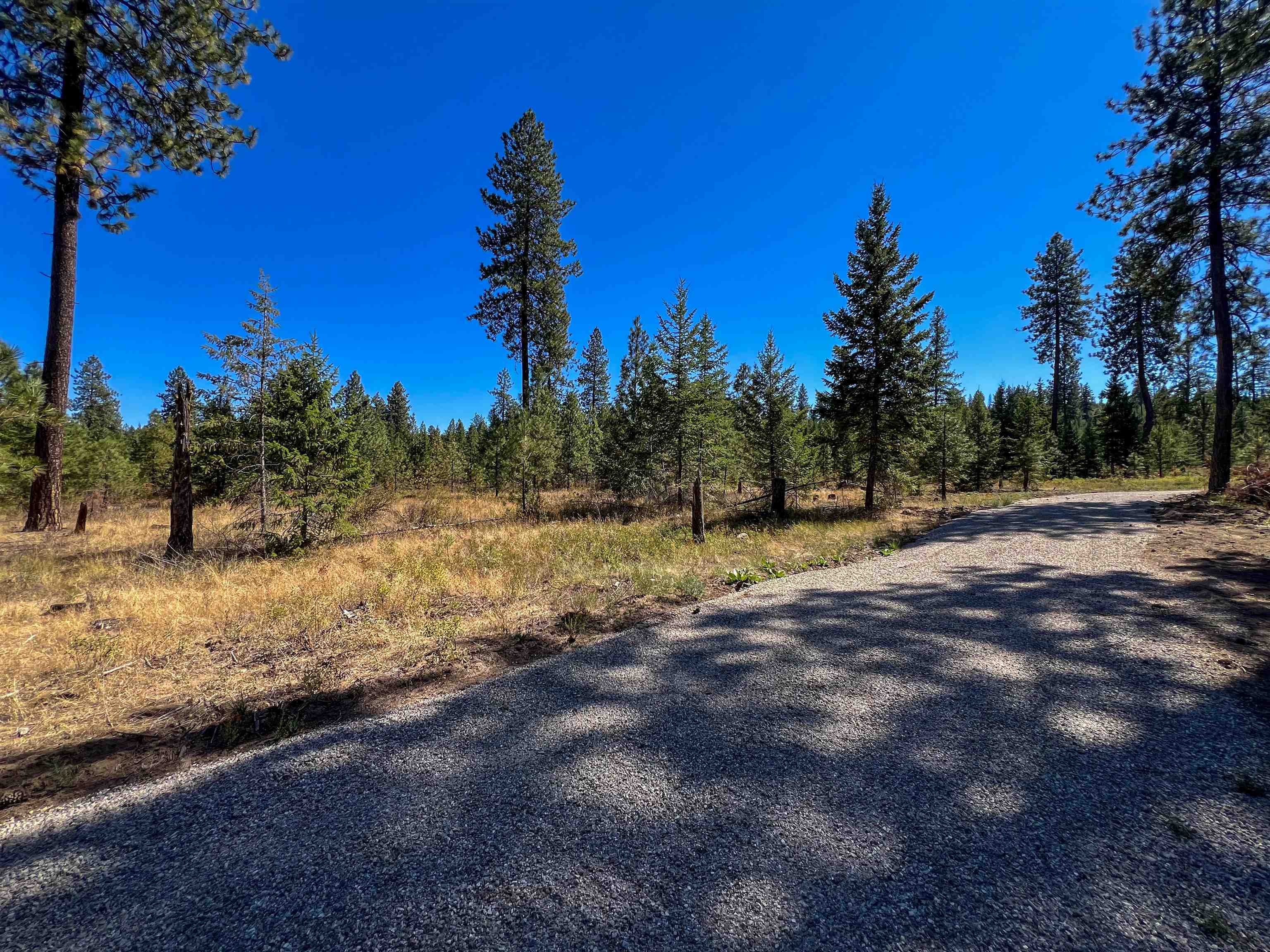 Property Photo:  52xx Lot 3 Swenson Rd  WA 99006 