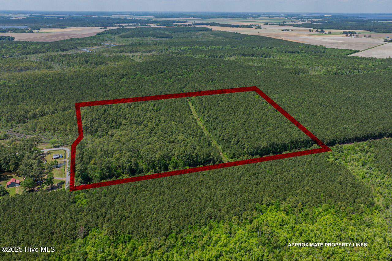Property Photo:  00000 Frog Island Road  NC 27909 