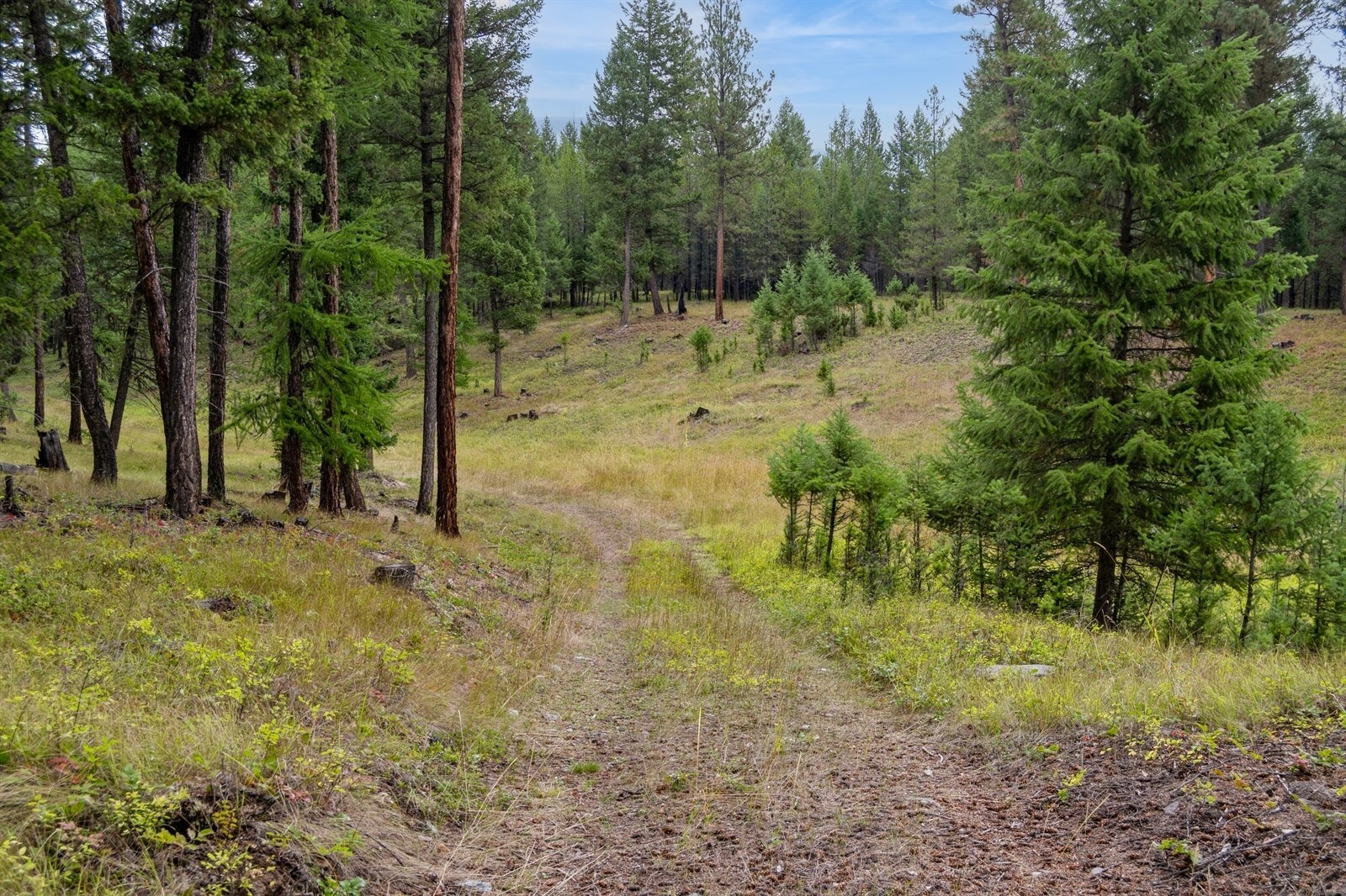 Property Photo:  Parcel H Rivers Edge Lane  MT 59917 