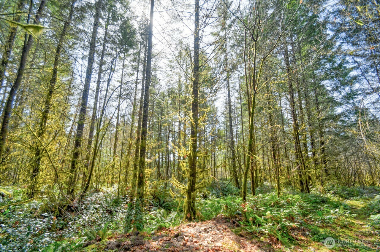 Property Photo: 0 Lincoln Creek Road WA 98579