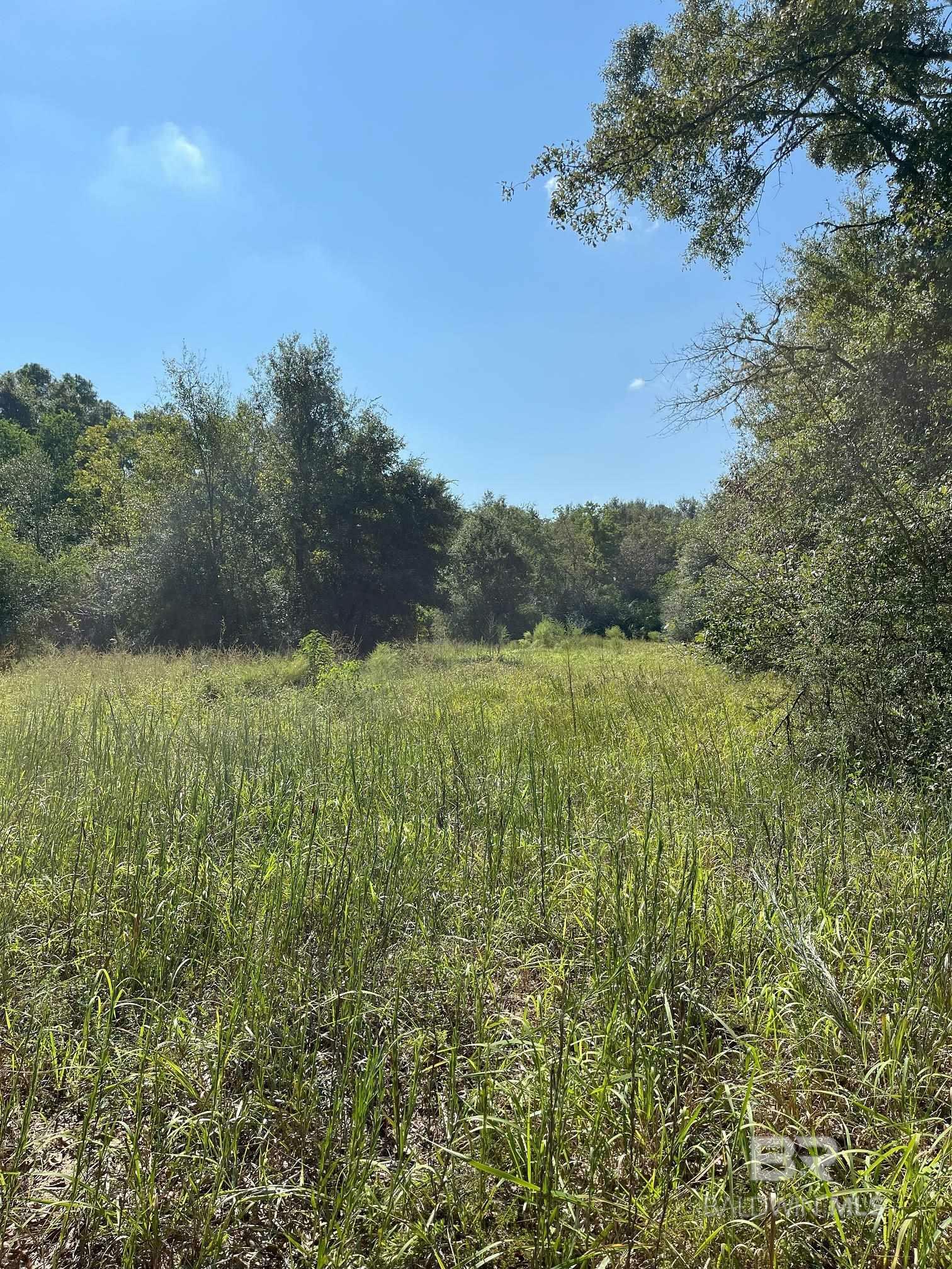 Property Photo:  0 County Road 68 N  AL 36567 