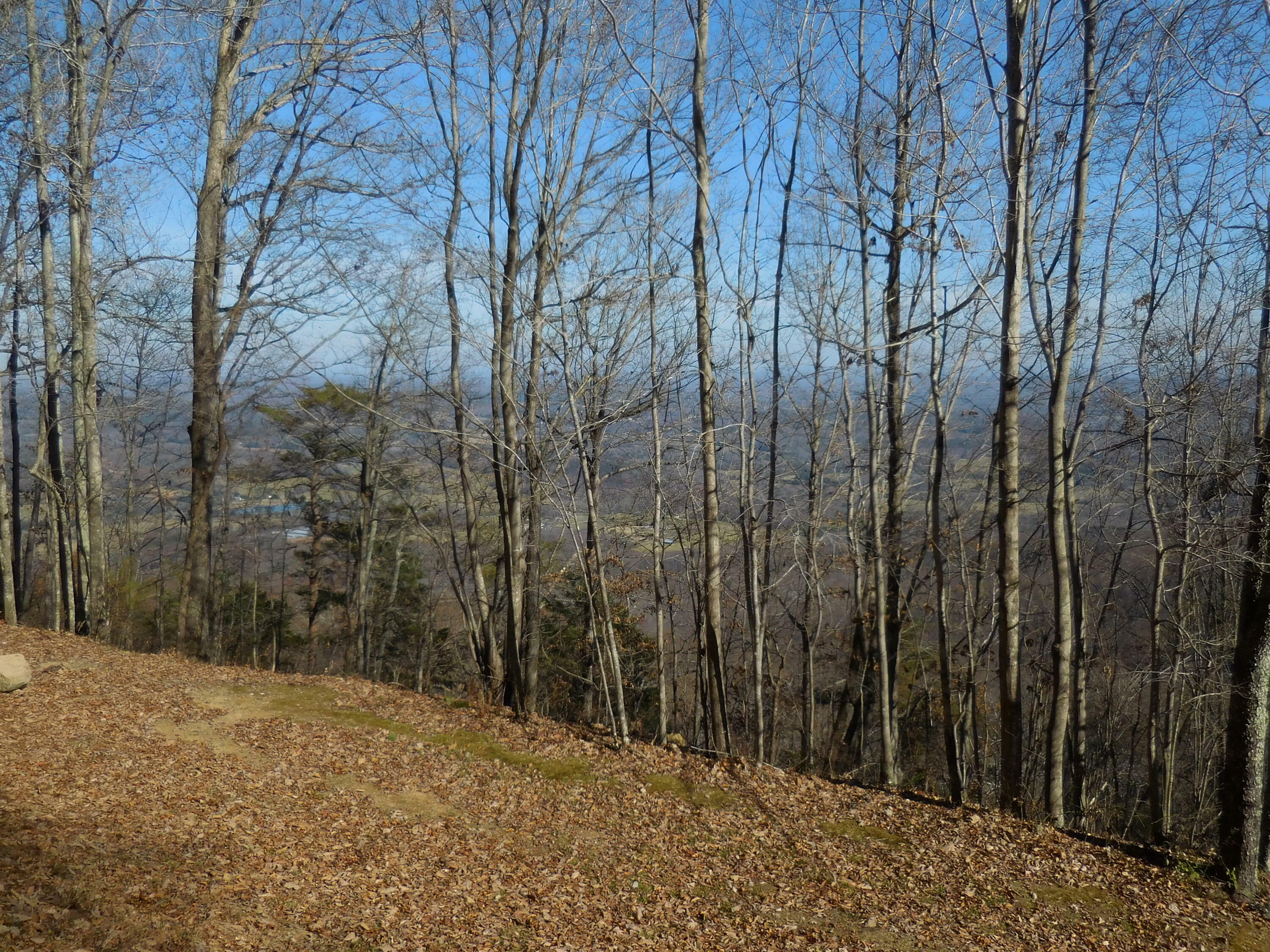 Property Photo:  157 Highway  GA 30738 