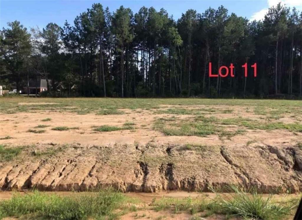 Property Photo:  Lot 11 Theo Drive  LA 71328 