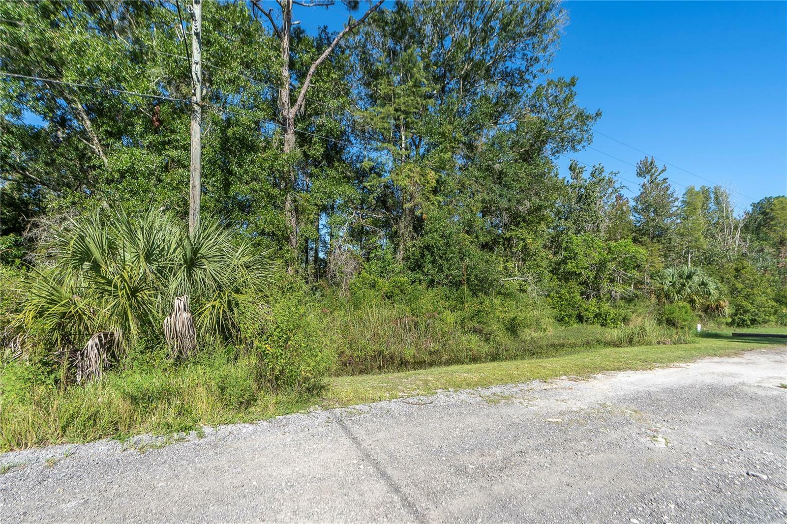 Property Photo:  7615 Westpoint Drive  FL 33544 