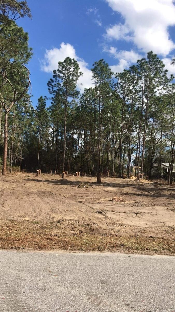 Property Photo:  SE 87 Terrace  FL 34420 