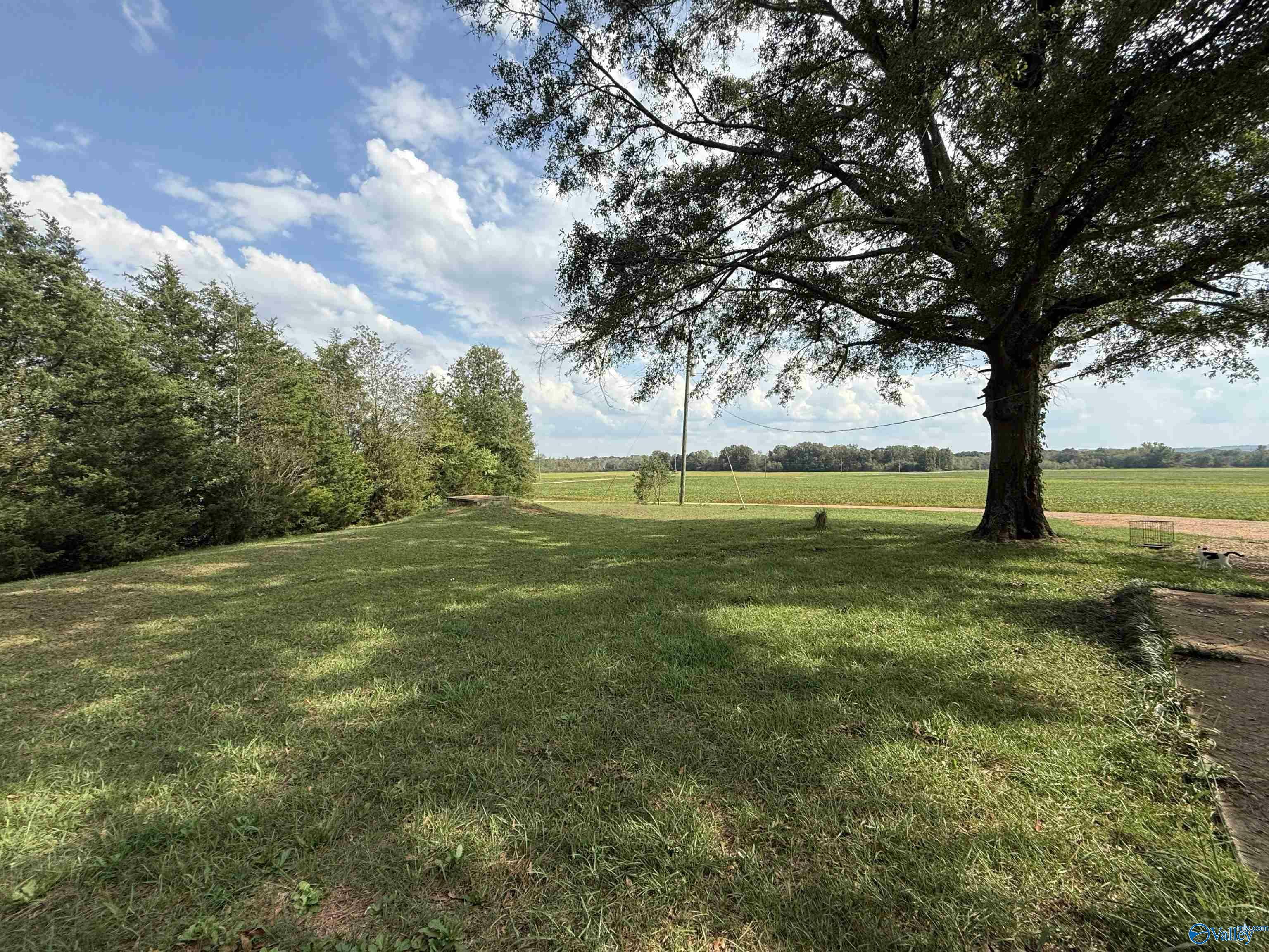 Property Photo:  1667 County Road 164  AL 35650 