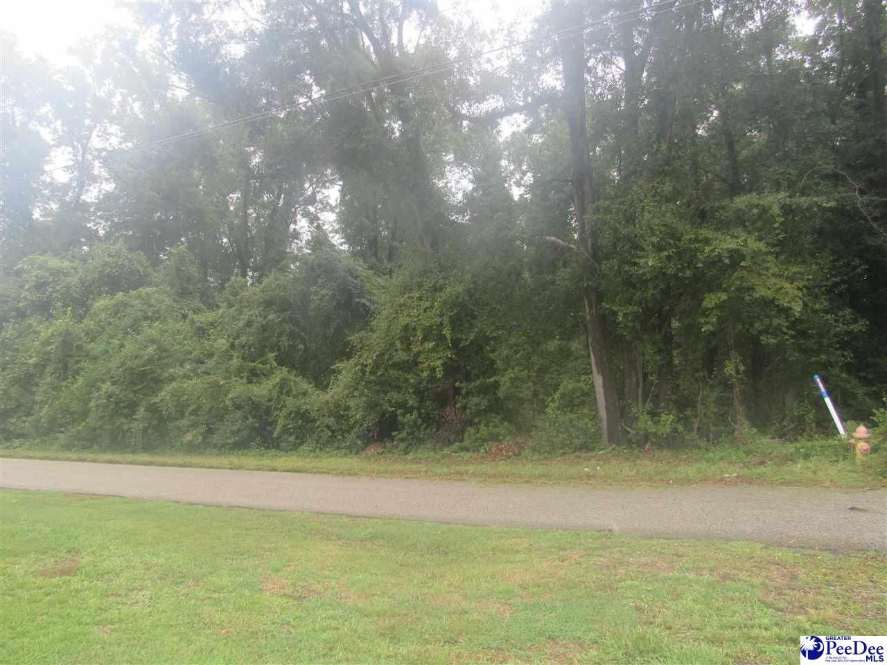 Property Photo:  1211 Day St.  SC 29506 